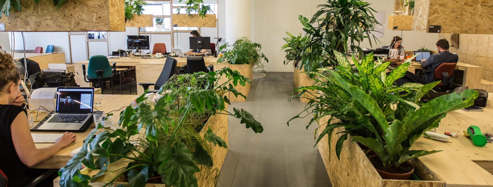 Banner Whydonate (3)