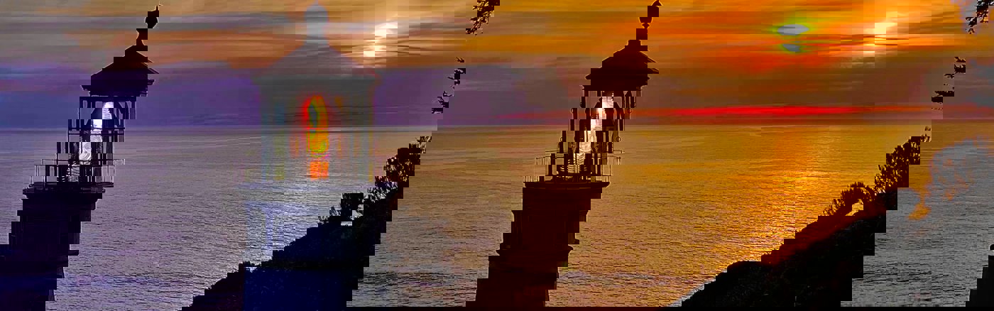 Interim vrijwilliger: Digital Marketing Specialist