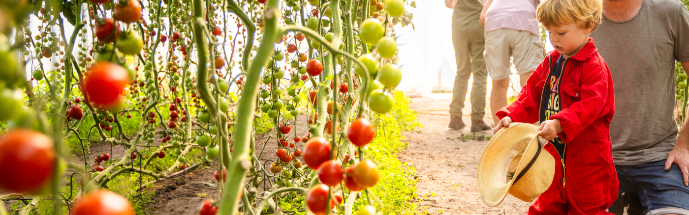 Adverteren in Google