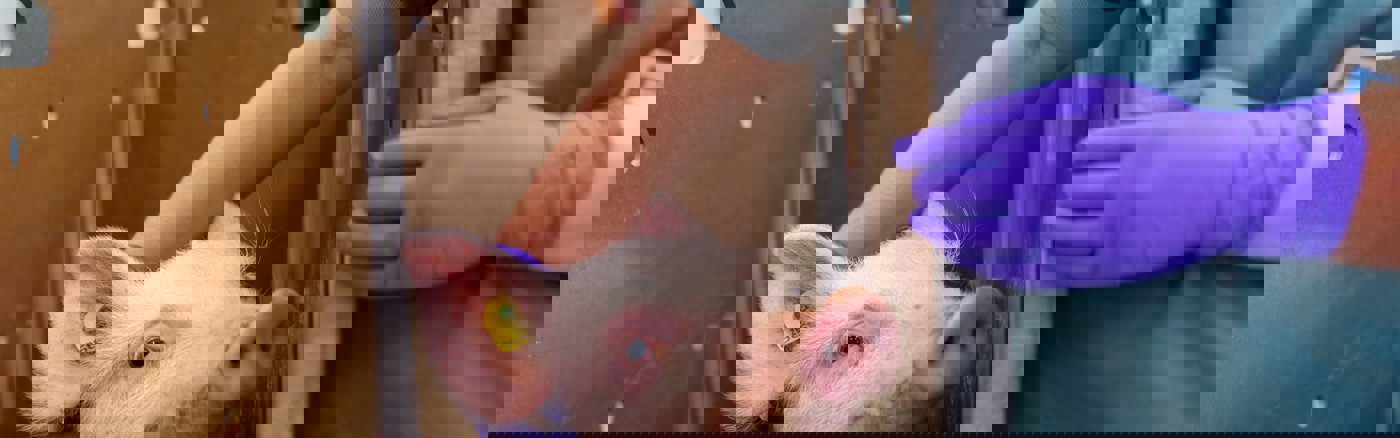 Strategisch advies over Werving & Selectie