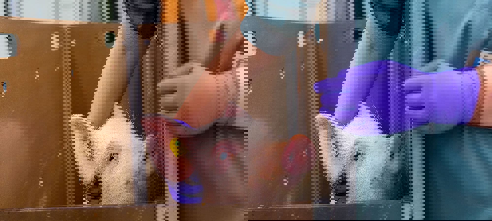 6656e6fe-3dae-4e49-9125-021d4b99b345 (1)