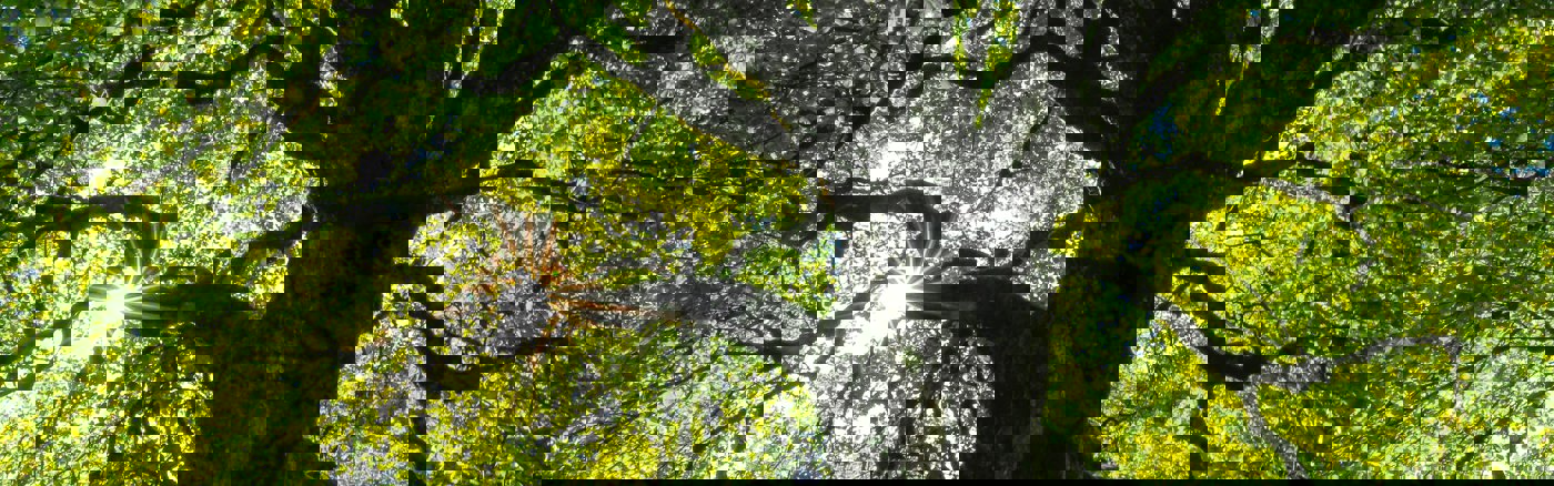 E-mail marketingtool uitleg en setup