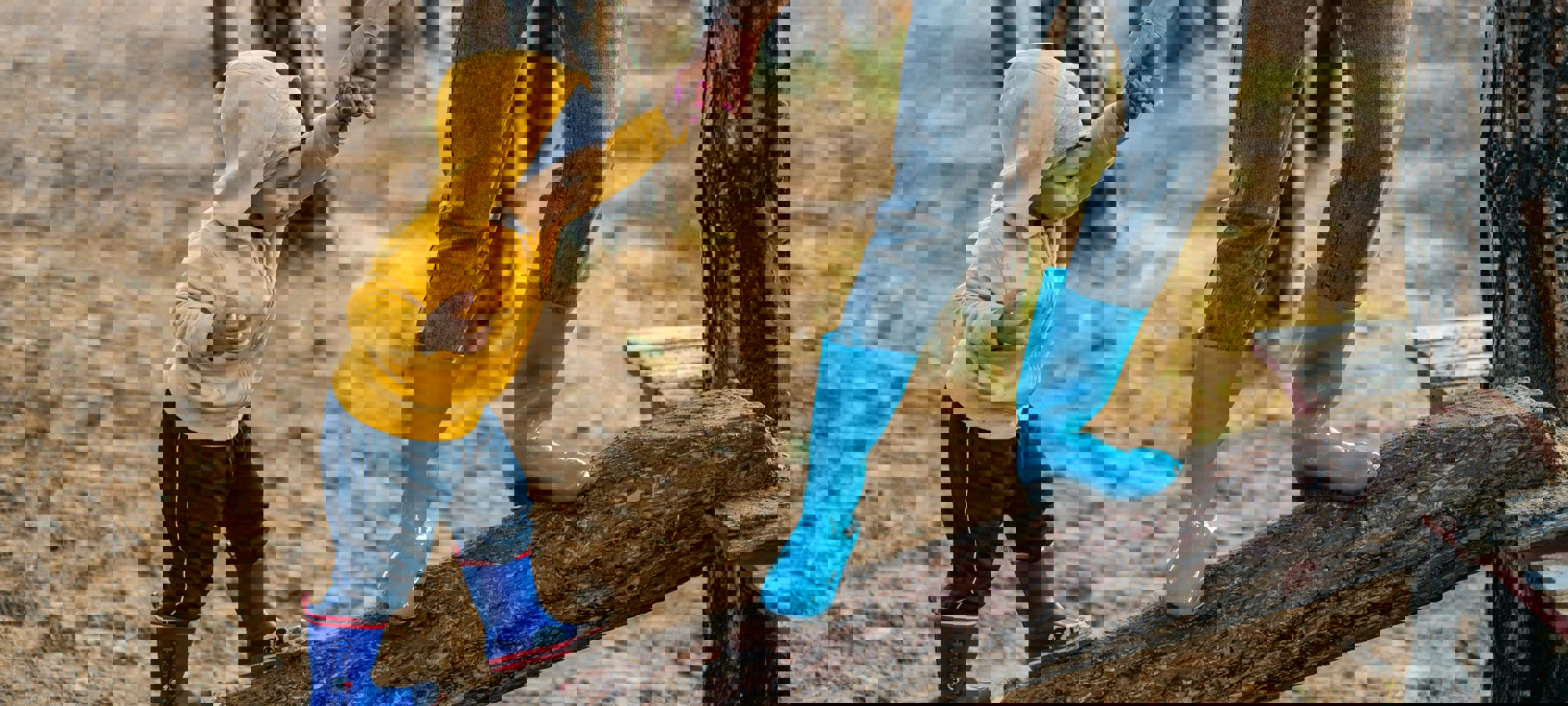 8ced7058-d13a-4df2-93a6-04120a0990fa