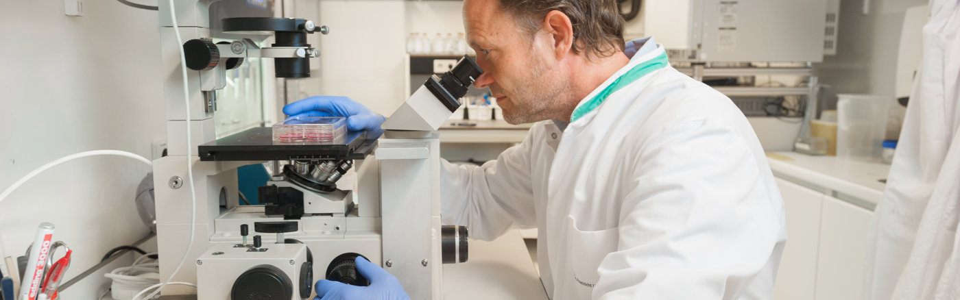 Roll-up banners design