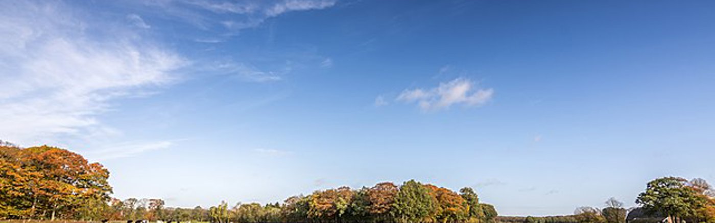 Copywriting ondersteuning crowdfunding