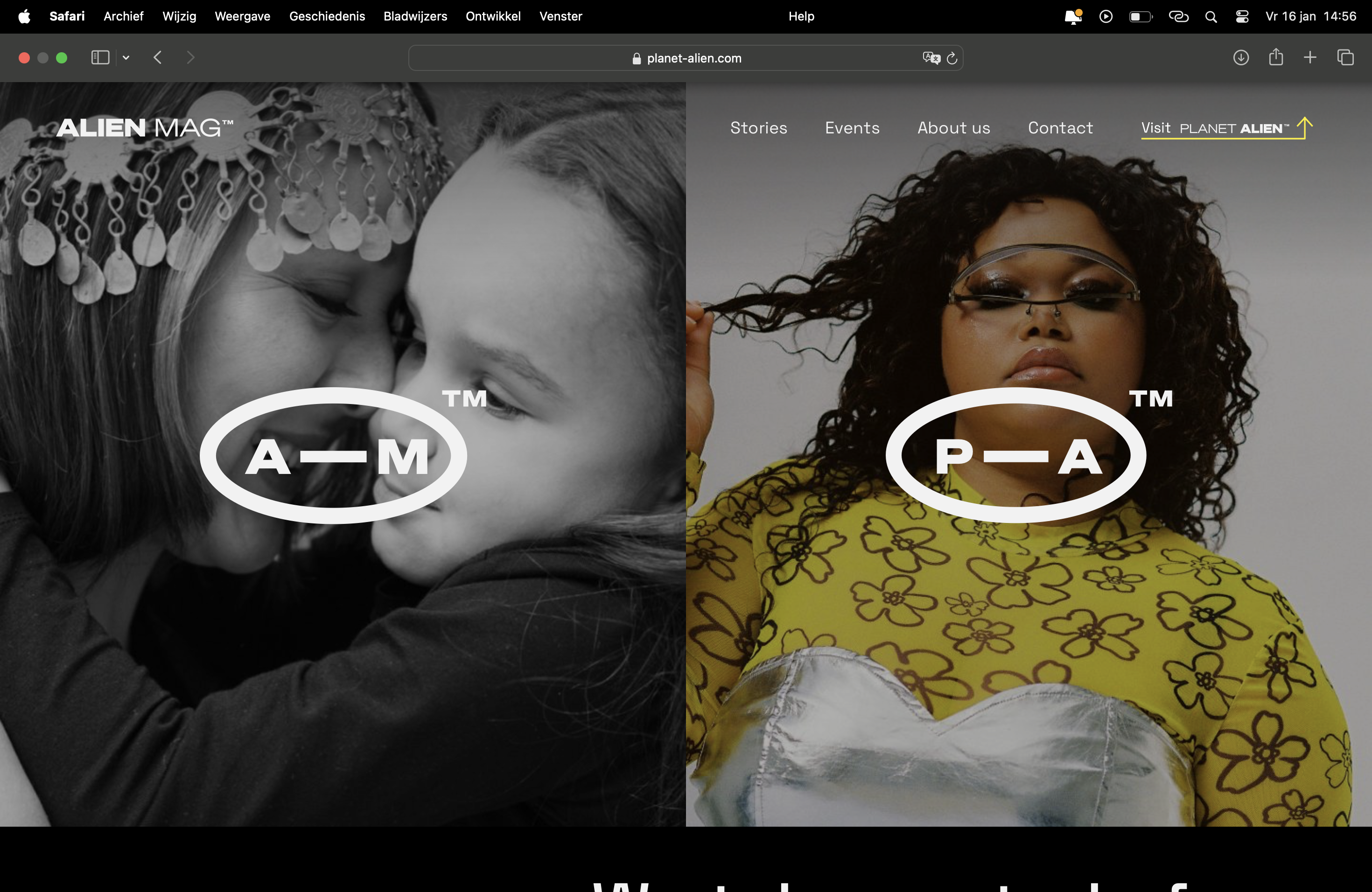 Website Structuur En Ontwerpadvies