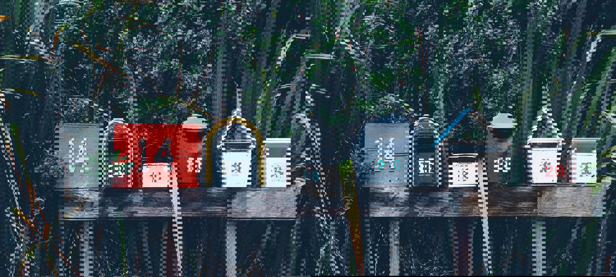 eb756665-d0d5-4691-af4d-92d54144263f
