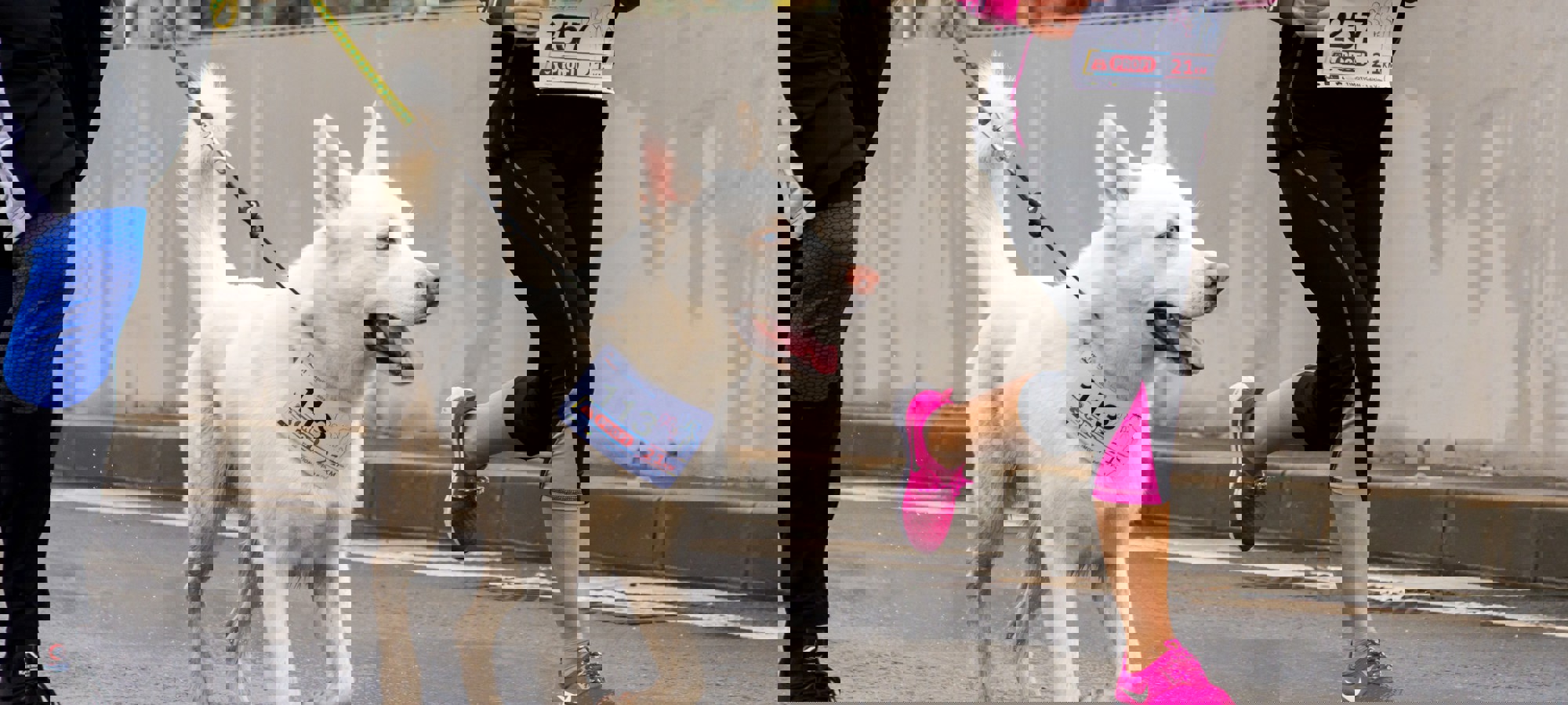 Sherise Van Dyk 6LS14DBENBQ Unsplash