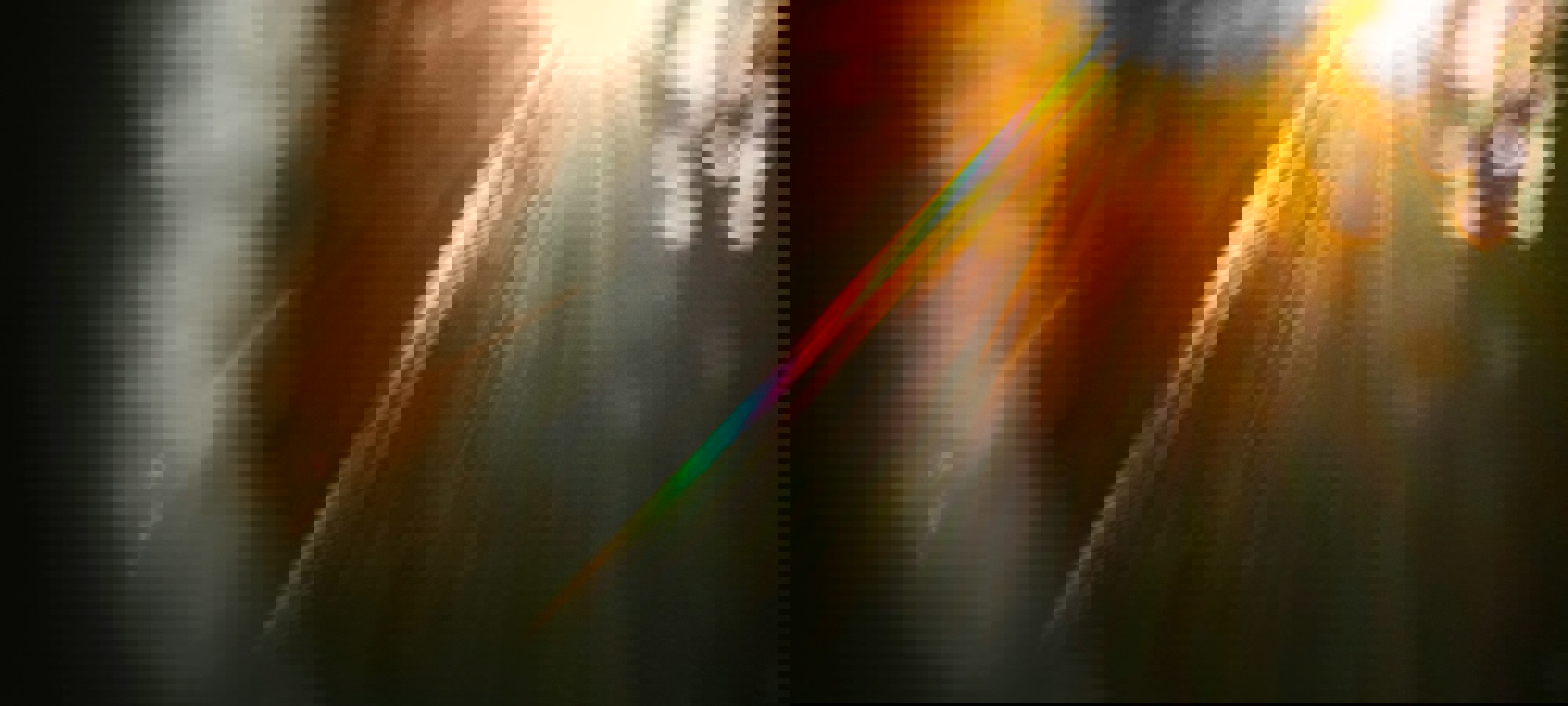 dc5e463a-caff-45aa-9c15-c41fd671cc85