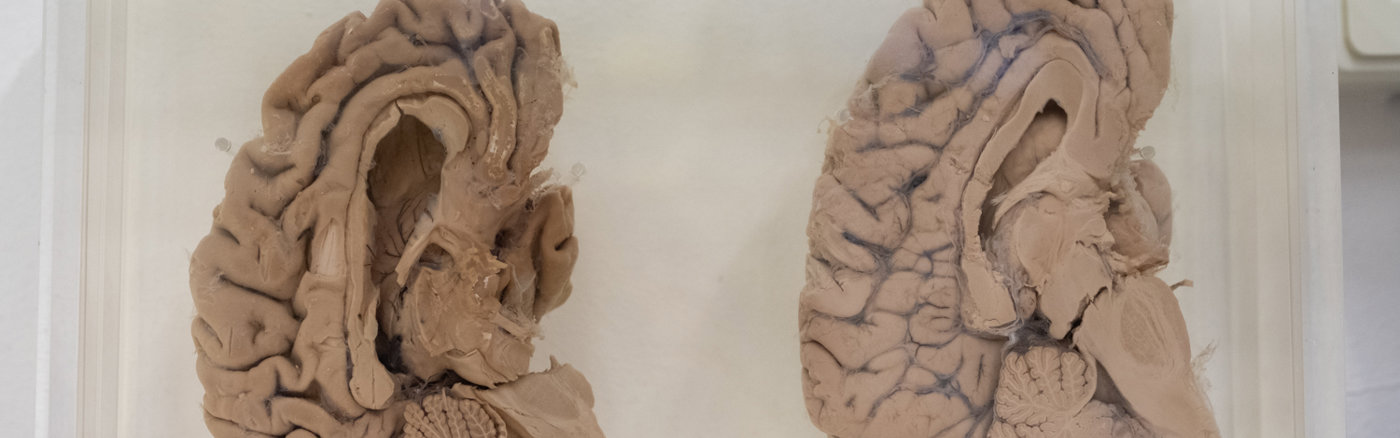 Interim vrijwilliger: Online Marketeer