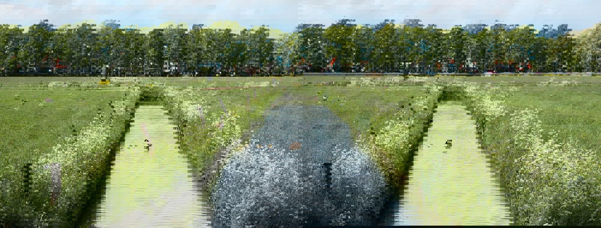 Remy Gieling Mzq9vcem7w0 Unsplash