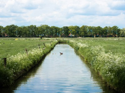 Vrijwilligerswerk in Culemborg