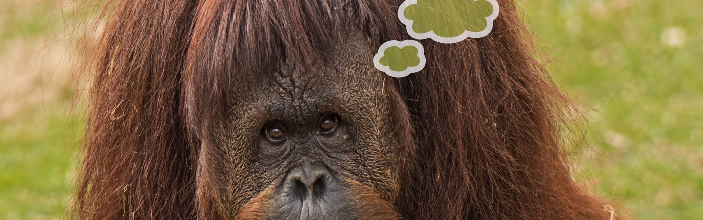 1 uur advies: Legal specialist (KVK)