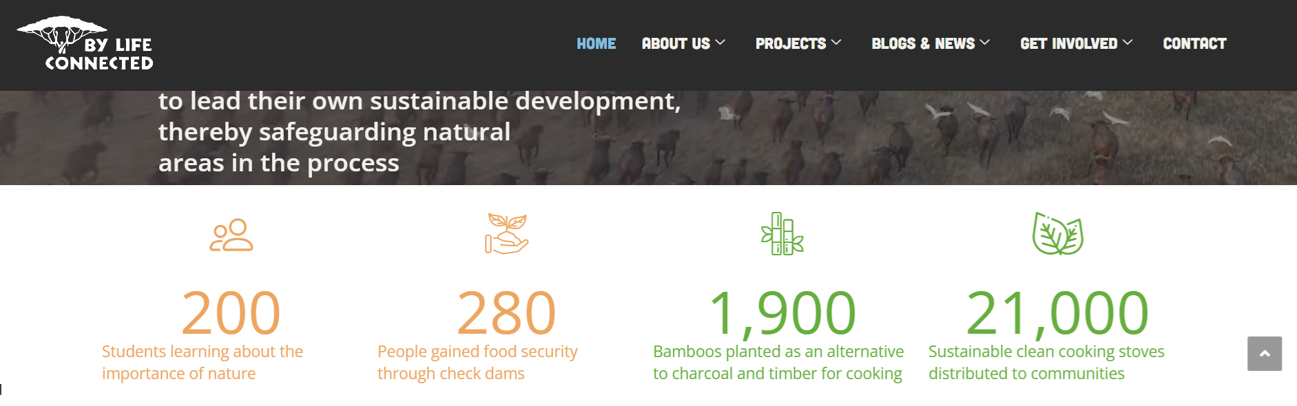 Website teksten verbeteren