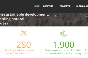 Website Teksten Review & Herschrijven