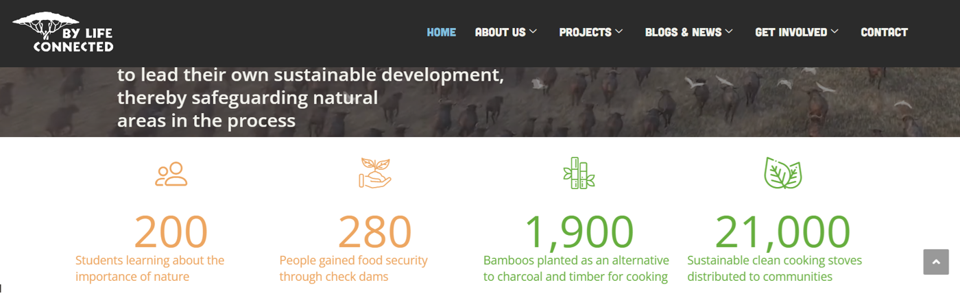 Website Teksten Review & Herschrijven