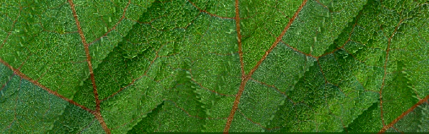 Projectadvies voor E-mailmigratie