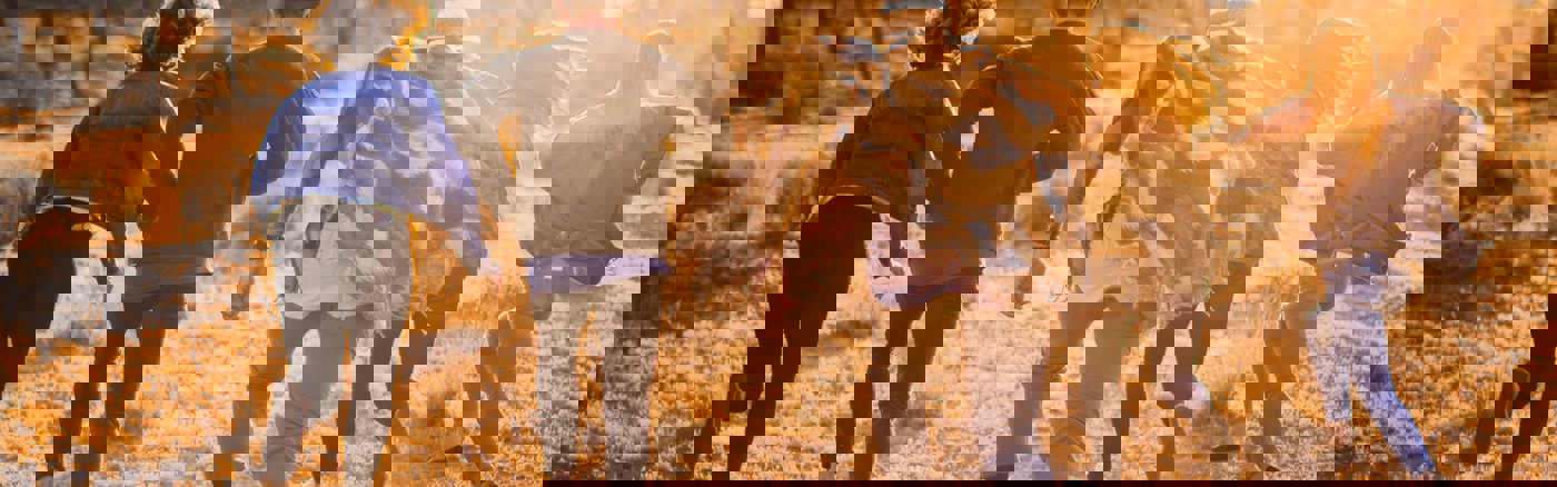 Advies over inzet Social Media