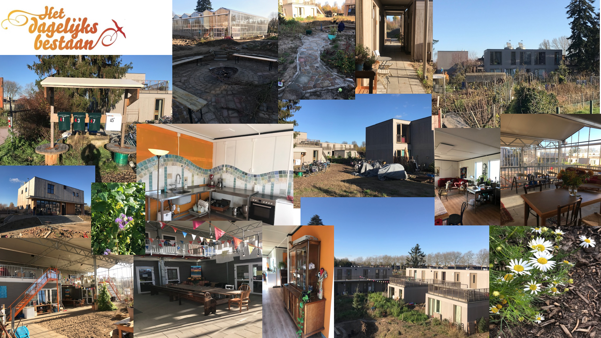 Stichting Het Dagelijks Bestaan