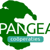 Pangea Foundation