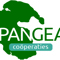 Pangea Foundation