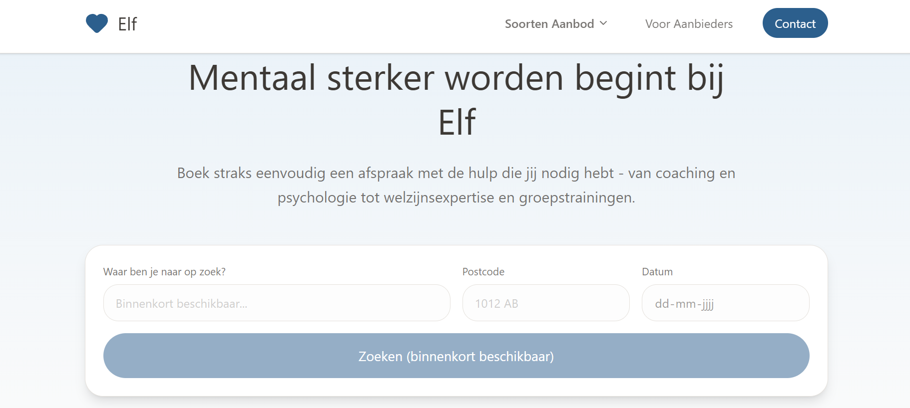 Huisstijl & Logo Integratie Website