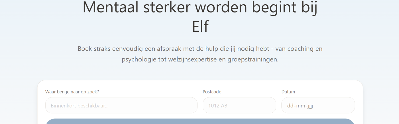 Huisstijl & Logo Integratie Website