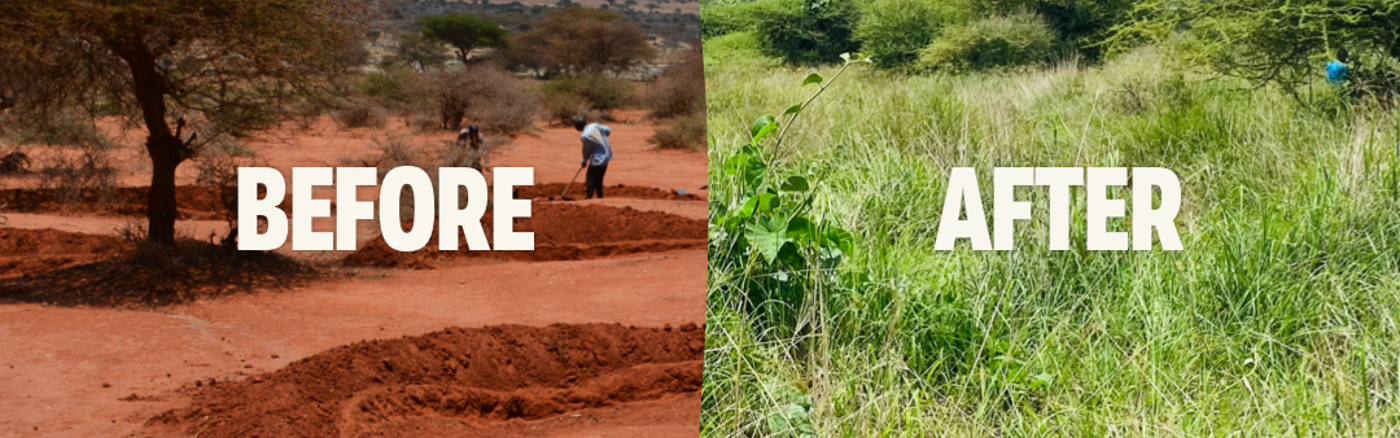 Impact Raport design