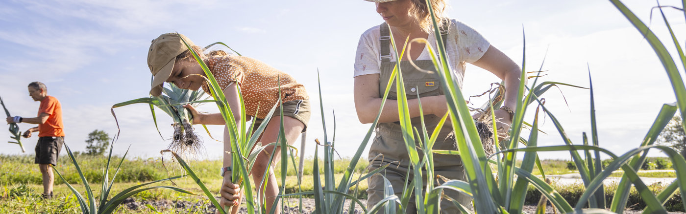 Adverteren in Google met Google Grants