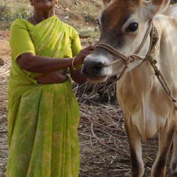 Women especially benefit