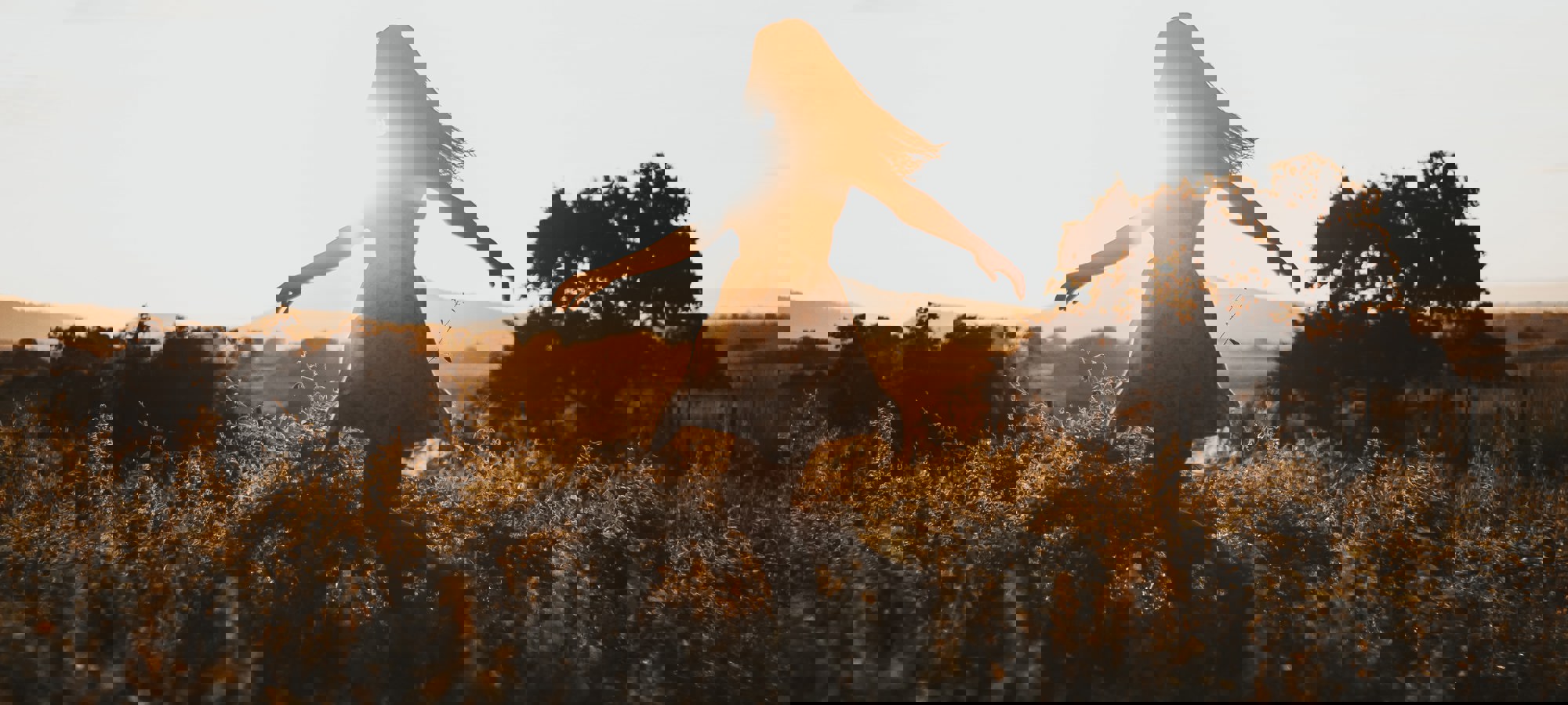 Jackson David Wuydtfap3t4 Unsplash