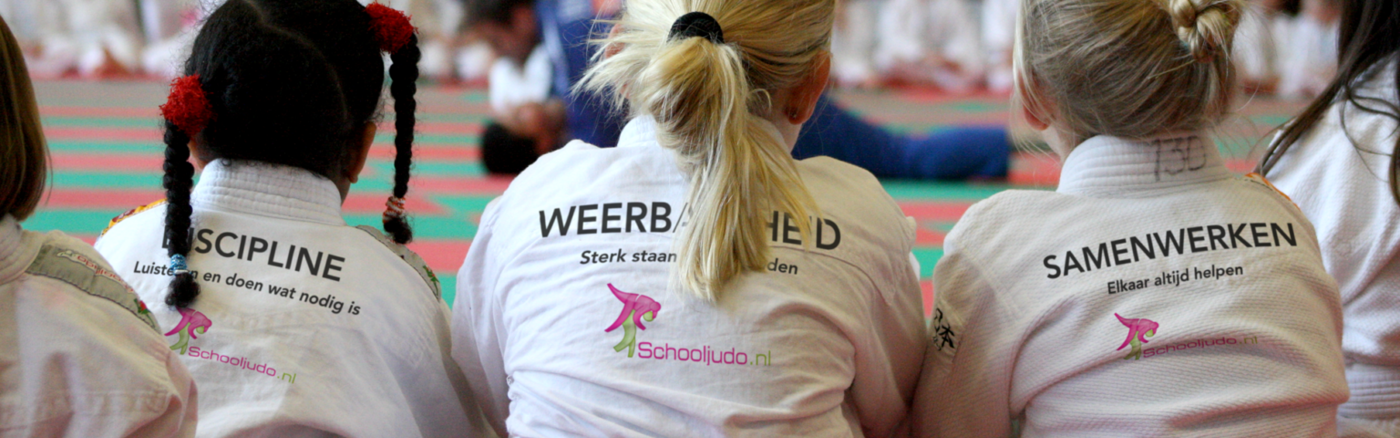 Dashboard van online inzichten