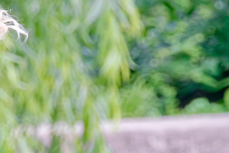 Stichting Kwaliteitsregister Geestelijke Verzorgers (SKGV)