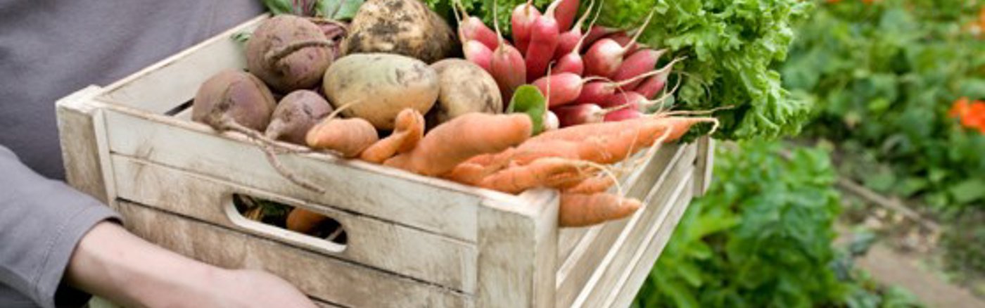 Boekhoudstructuur voor Stichting 