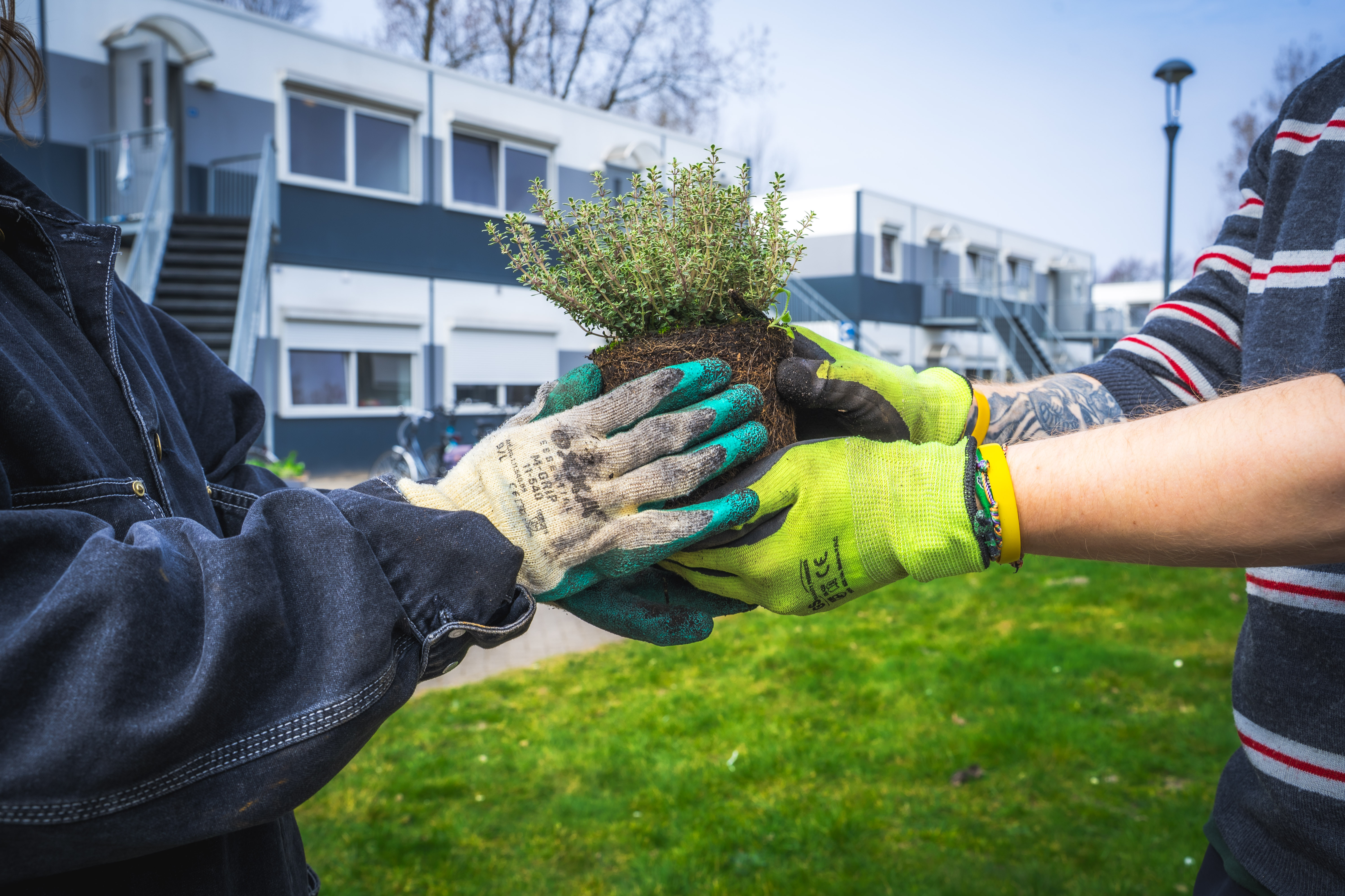 Stichting The Present (Movement)