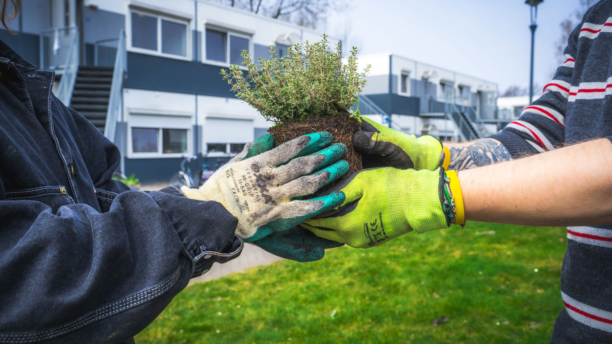 Stichting The Present (Movement)