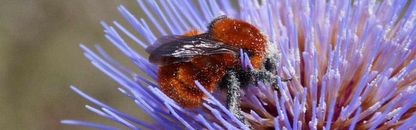 PR-plan voor 2026 met beperkt budget