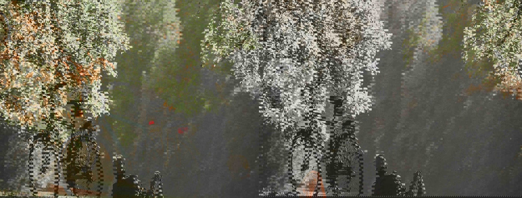 Alleen voelen tijdens Valentijnsdag