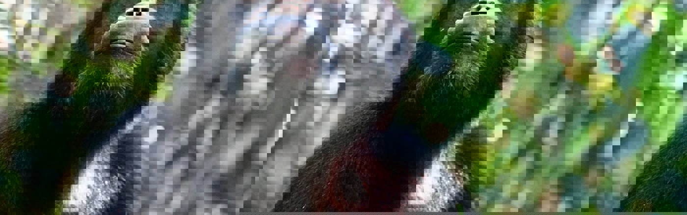 Google Analytics uitleg, set-up en training.