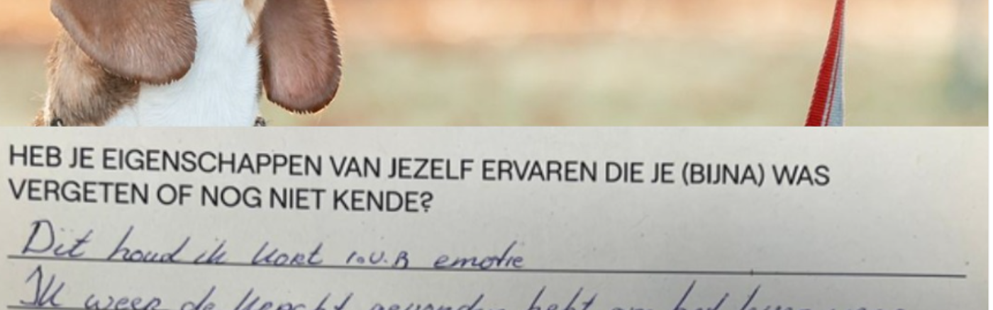 Tevredenheidsonderzoek Ontwerp