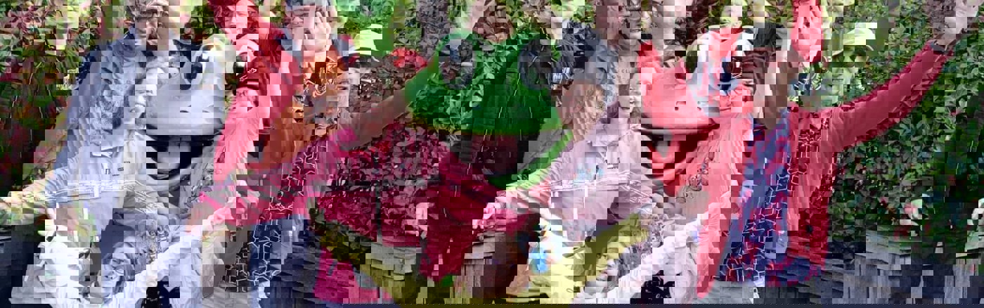 Nieuw logo en huisstijl Stichting De Baan