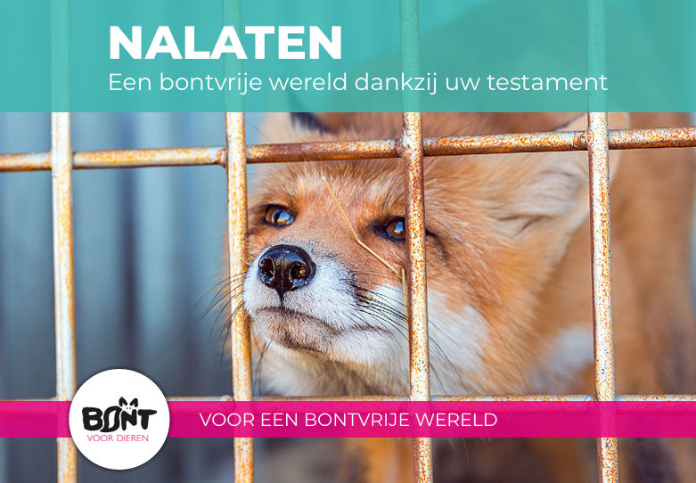 Schrijf nalatenschapscopy voor de klantreis