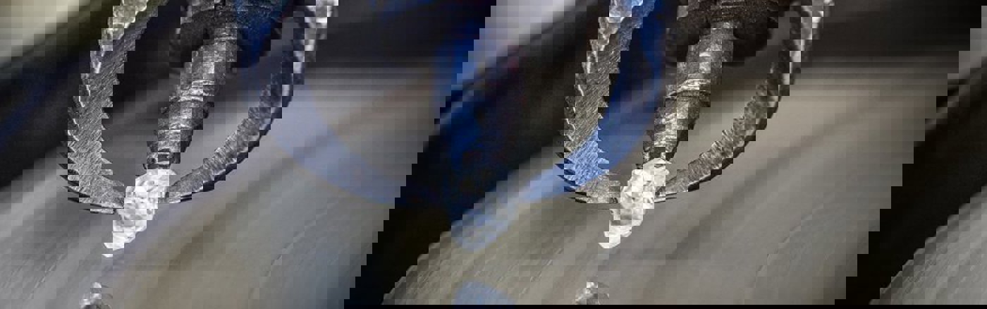 Transcript schrijven voor korte video's