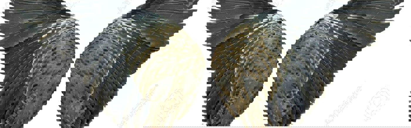 HR Cycles (functioneringsgesprekken)