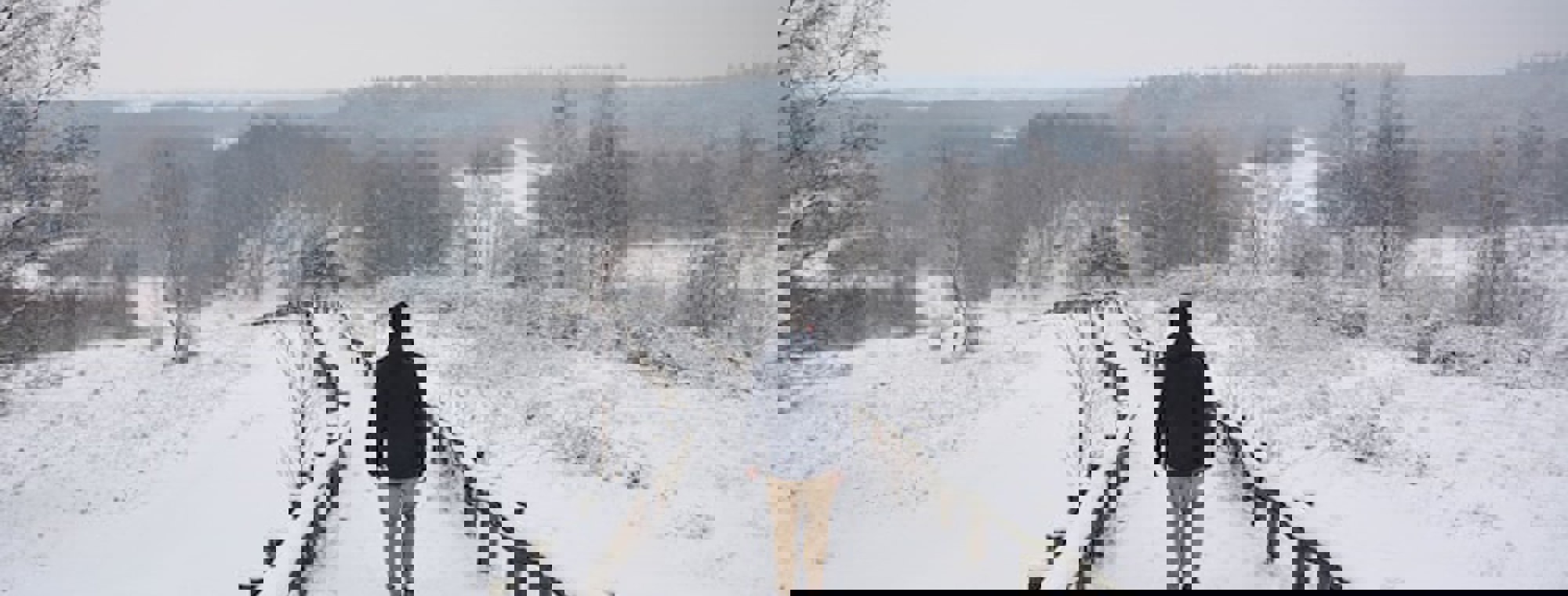 Nienke Burgers Ck T8z8c3kq Unsplash