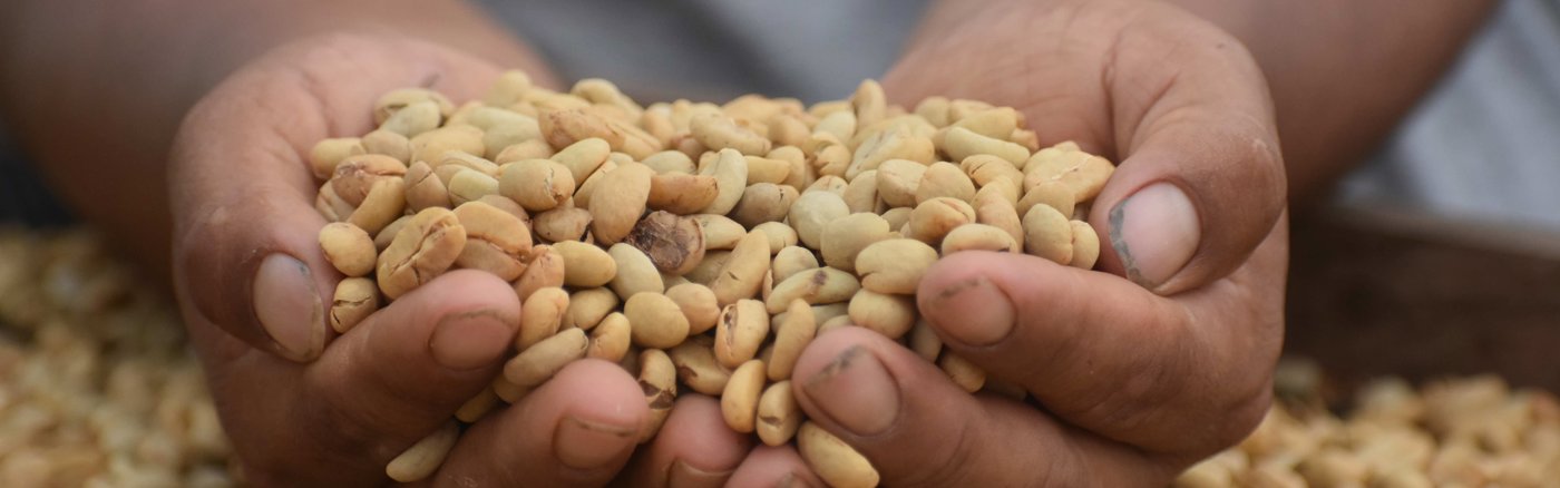 Copywriting webteksten