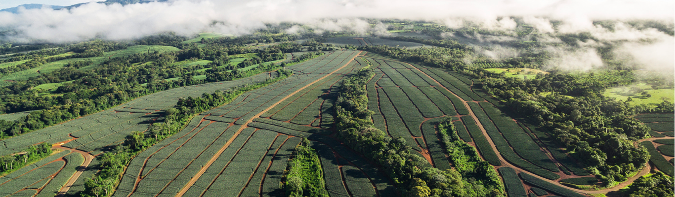 Robin Food Coalition