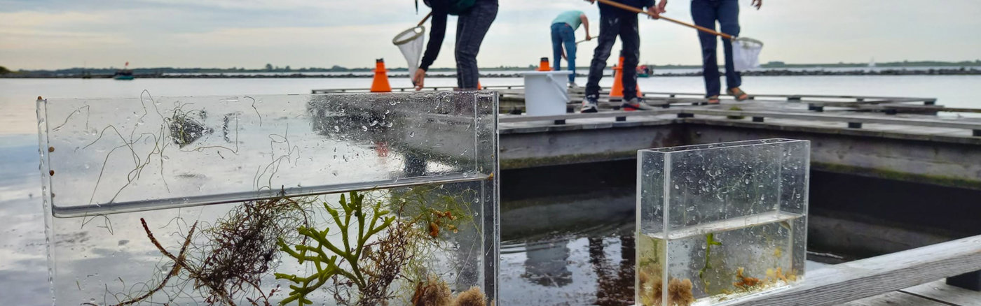 Missie, visie en waarden