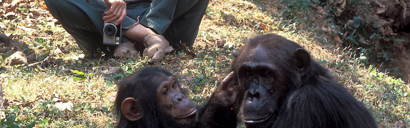 Call: Online marketeer