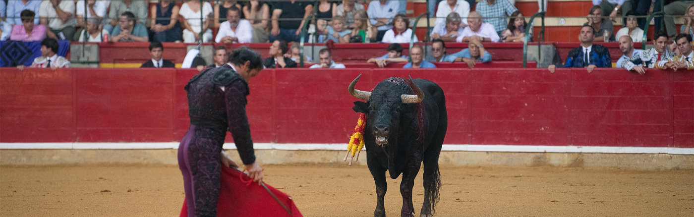 Social Media Templates Ontwerpen